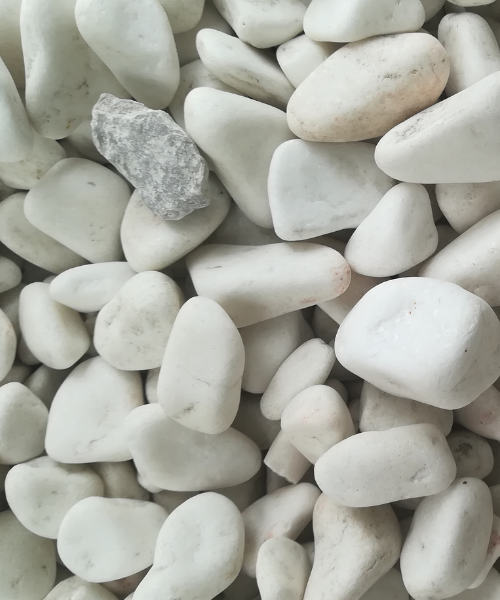 Jewish Graveside Visit by Celebrant