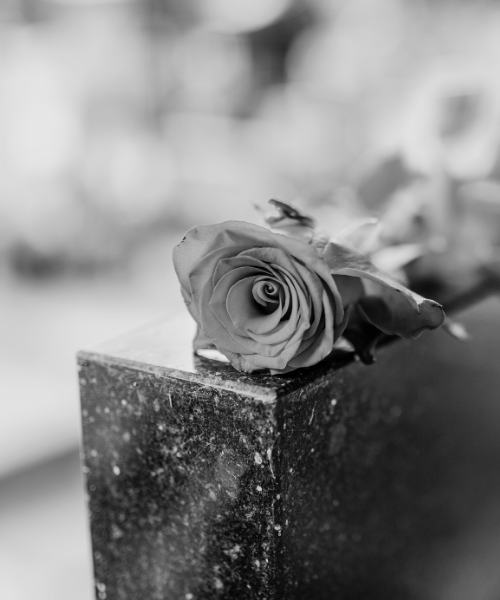 Grave Tending - North London